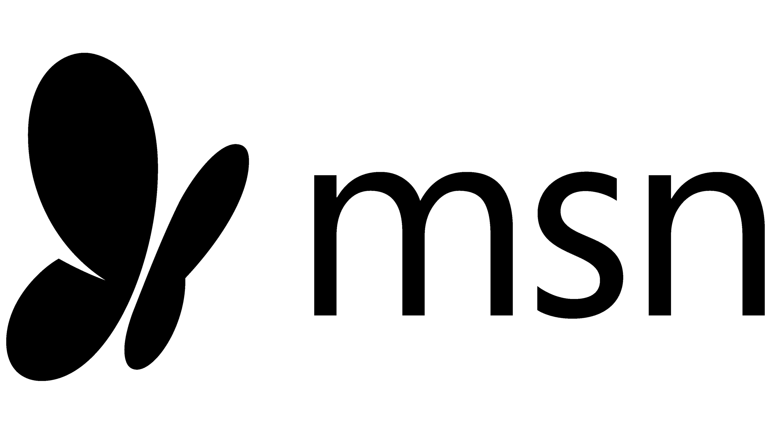 Msn Logo