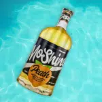 Moshine Pool Float Background